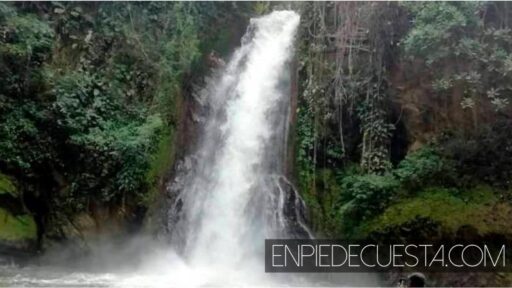 cascada las golondrinas amarillas piedecuesta