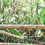 zoologico de aves en santander